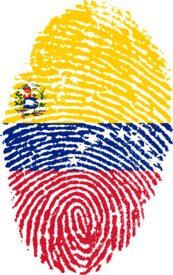 venezuela elections