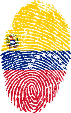  Venezuela:December 6 parliamentary elections – the Bolivarian revolution’s most difficult challenge